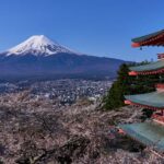 Tokyo day trip -Mount Fuji Private Tour from Tokyo - Discovering Oshino Hakkai and Oishi Park