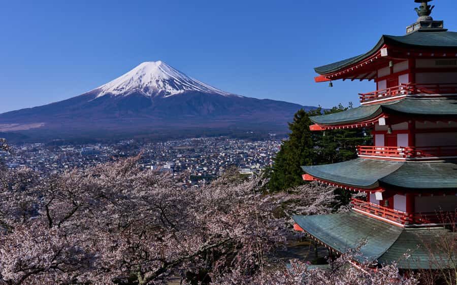 Tokyo day trip -Mount Fuji Private Tour from Tokyo - Discovering Oshino Hakkai and Oishi Park