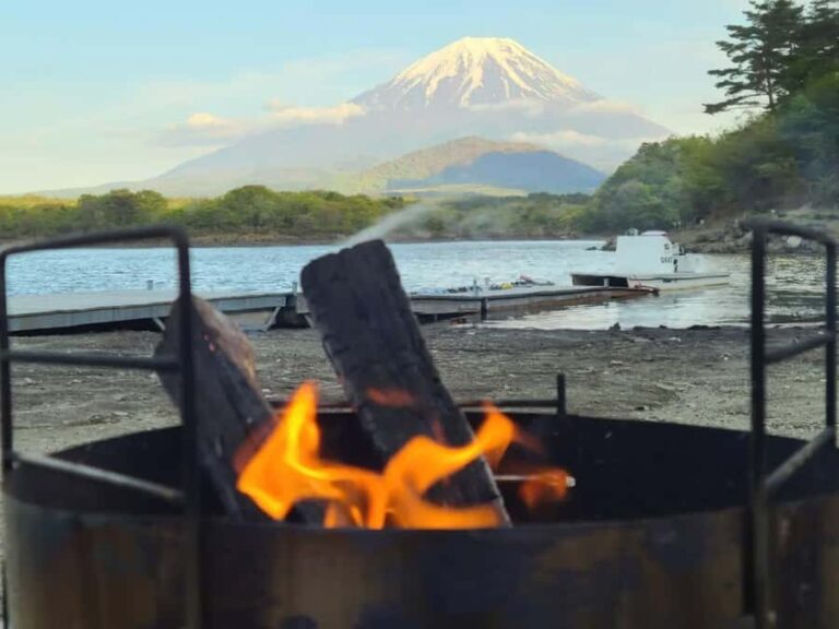 Tokyo: Different Views of Mt Fuji: 3 Lakes & Train Day Tour - Detailed Breakdown of the Itinerary