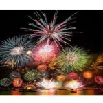 Tokyo Disneyland Shared Transfer : from Tokyo to Disneyland (One Way) - What You Get for the Price