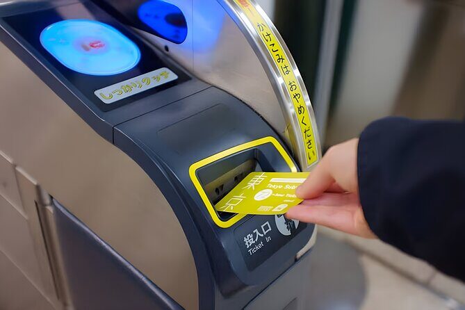 Tokyo Disneyland Ticket & Tokyo Subway Pass - Who Should Consider This Tour?