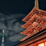 Tokyo Exciting Japan Tour - Practical Aspects of the Tour