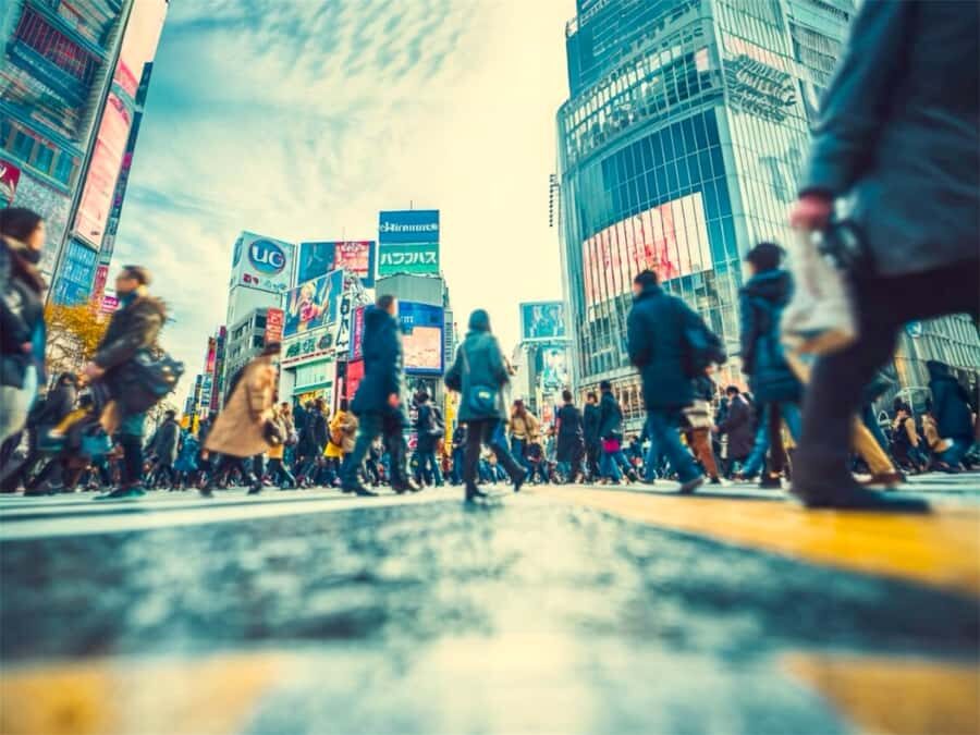 Tokyo Food & Culture Private Tour & Authentic Yakitori Lunch - Who Will Enjoy This Tour?