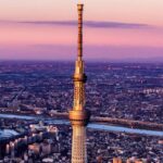 Tokyo Full Day Customizable Private Day Trip with Guide - Cultural Landmarks and Modern Marvels