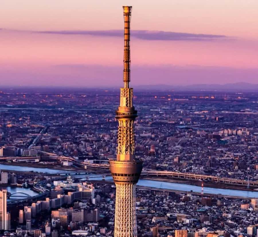 Tokyo Full Day Customizable Private Day Trip with Guide - Cultural Landmarks and Modern Marvels