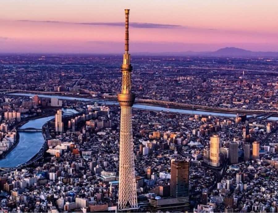 Tokyo Full Day Customizable Private Tour with English Guide - Why This Tour Works Well for Travelers