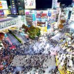 Tokyo Full-Day Private Customizable Tour with English guide - The Itinerary Breakdown