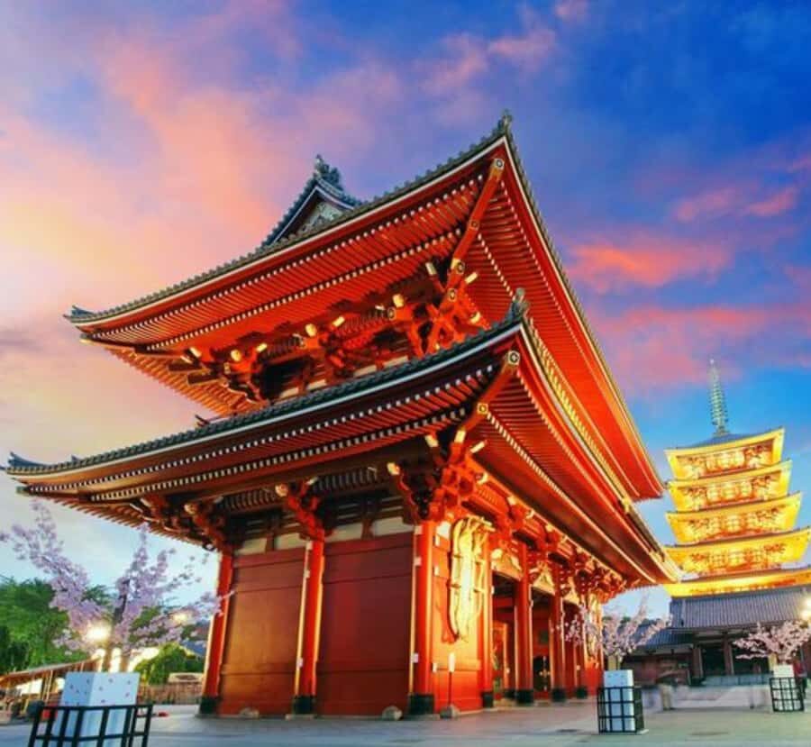 Tokyo Full Day Private Sightseeing Tour with English Driver - The Flexibility of a Fully Customizable Itinerary