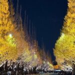 Tokyo Full-Day Private Walking Tour  Fully Personalized - What We Love About the Experience