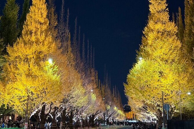 Tokyo Full-Day Private Walking Tour  Fully Personalized - What We Love About the Experience