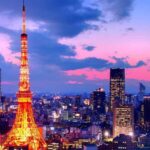 Tokyo Full-Day Sightseeing City Tour with English Driver - Exploring the Highlights in Detail