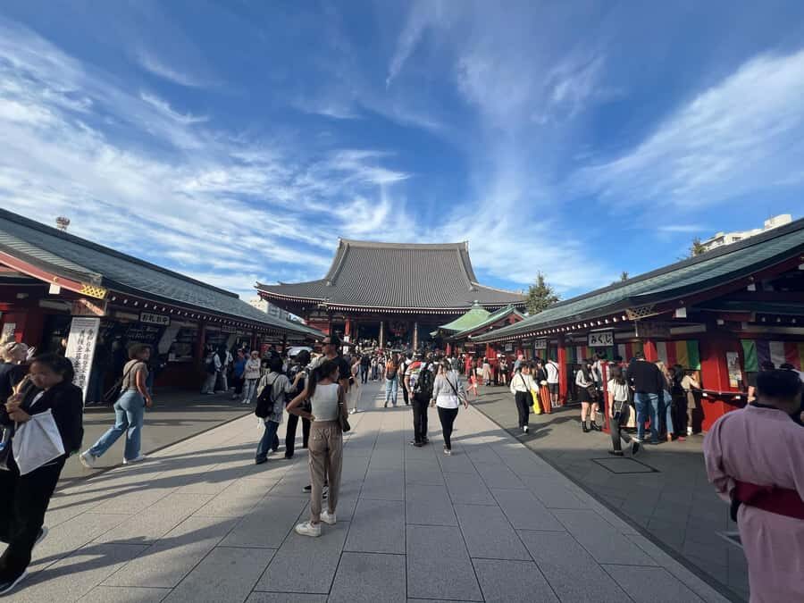 Tokyo Full-Day Tour with Private Car - What Sets This Tour Apart