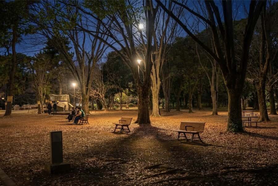 Tokyo Ghost Tour: Dark Tales, Urban Legends & Cemetery Night - Practical Details and What to Expect