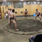 Tokyo: Grand Sumo Morning Training Tour - An In-Depth Look at the Tokyo: Grand Sumo Morning Training Tour