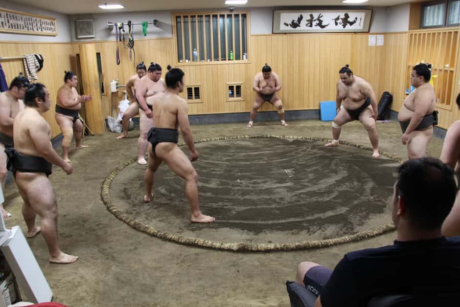 Tokyo: Grand Sumo Morning Training Tour - An In-Depth Look at the Tokyo: Grand Sumo Morning Training Tour