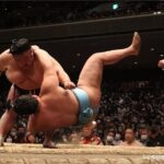 Tokyo Grand Sumo Tournament Viewing Tour - Authentic Experiences and Real Traveler Insights