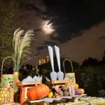 TOKYO: Guided Garden Tour with SP Dinner by E-bike -NIGHT - The Itinerary Breakdown: From Quiet Gardens to Hidden Streets