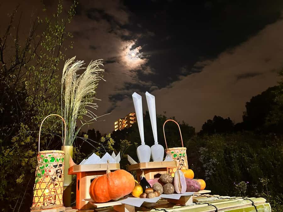 TOKYO: Guided Garden Tour with SP Dinner by E-bike -NIGHT - The Itinerary Breakdown: From Quiet Gardens to Hidden Streets