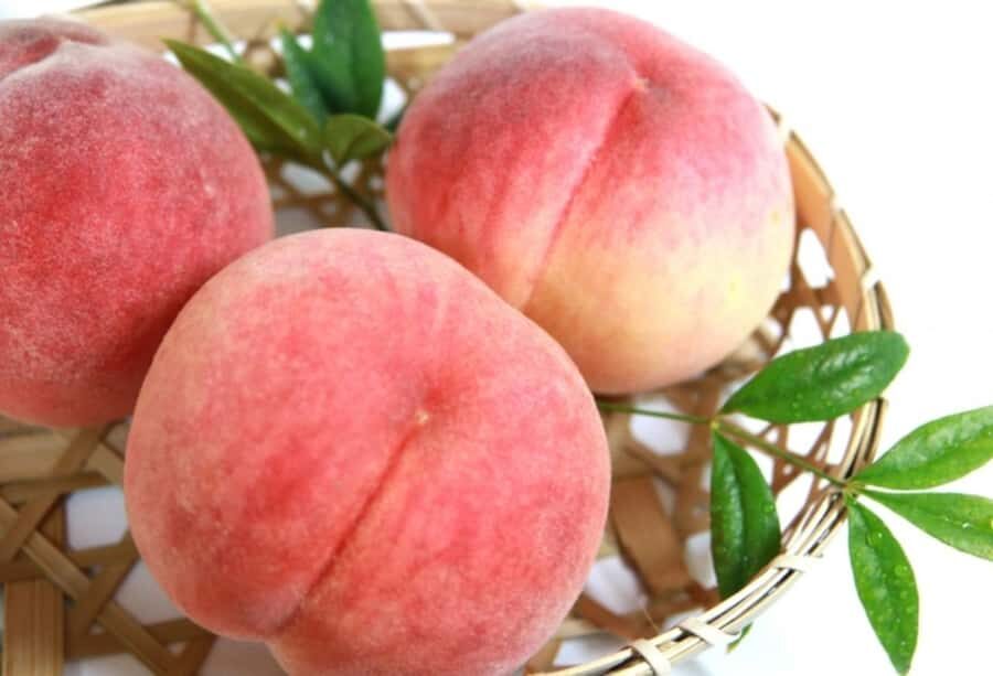 Tokyo: Gunma Scenic Day Trip with Fruit Picking, Crab Lunch - FAQs