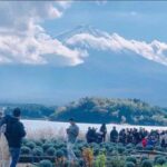 Tokyo Hakone Full Day Private Customised Itinerary In Prado - A Deep Dive into the Itinerary