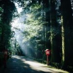 Tokyo: Hakone Full-Day Private Guided Tour with Pickup - Exploring the Itinerary: What You Can Expect