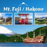 Tokyo Hakone : Mt.Fuji, Owakudani, Open Air Museum, Hakone Shrine - The Practical Side: What You Need to Know