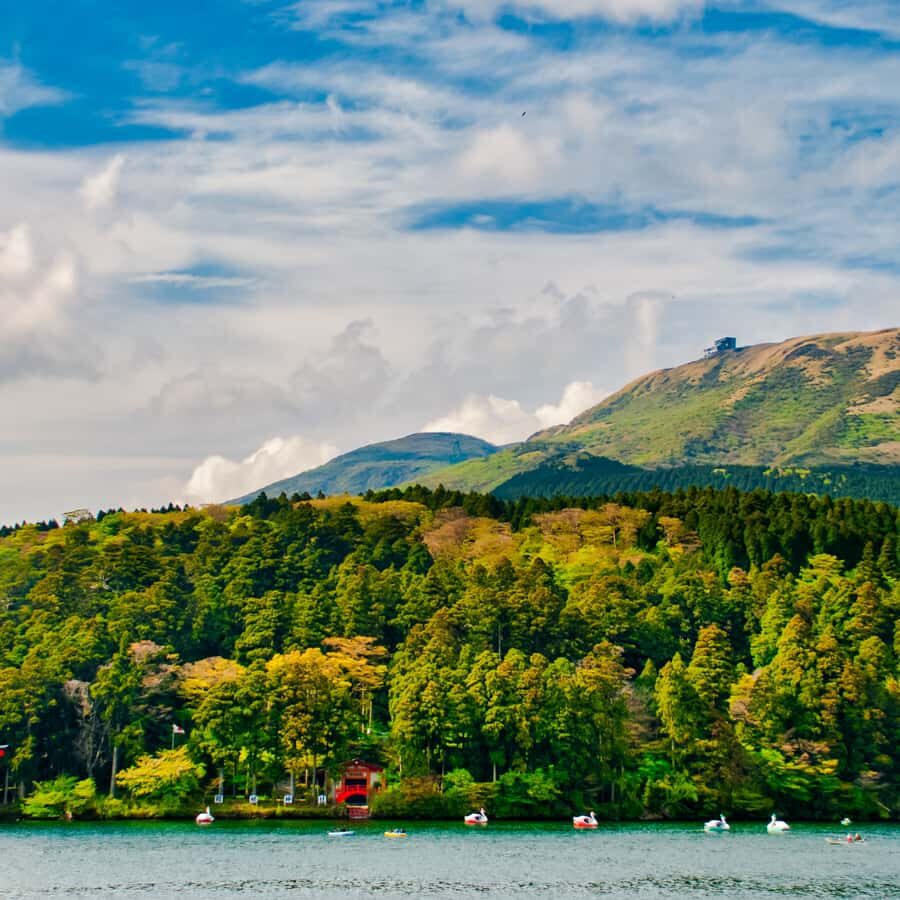 Tokyo: Hakone, Odawara Castle, Lake Ashi Cruise Private Tour - Transportation, Duration, and Flexibility