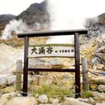 Tokyo: Hakone, Owakudani & Gotemba Premium Outlet 1Day Bus tour - Practical Details and Tips