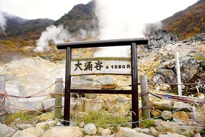 Tokyo: Hakone, Owakudani & Gotemba Premium Outlet 1Day Bus tour - Practical Details and Tips