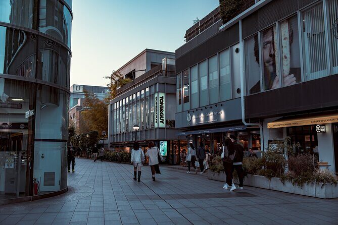 Tokyo Harajuku Walking Tour Meiji Jingu Yoyogi Park and More - What to Expect from the Tour