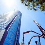 Tokyo Highlight Private Tour by Car with English Speaking Driver - Why Consider This Tour?