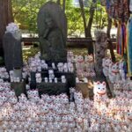 Tokyo Highlights Private Tour: Market, Temples & Skyline Day - Who Is This Tour Best For?