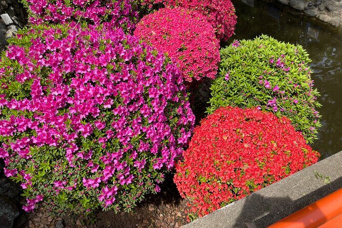 Tokyo Historian and Photographer Private Tour - Why This Tour Offers Great Value