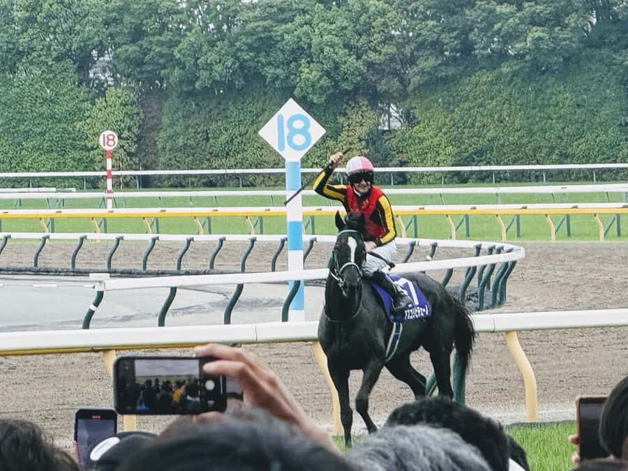 Tokyo: Horse Racing Experience with Local Fan - What Makes This Experience Special?