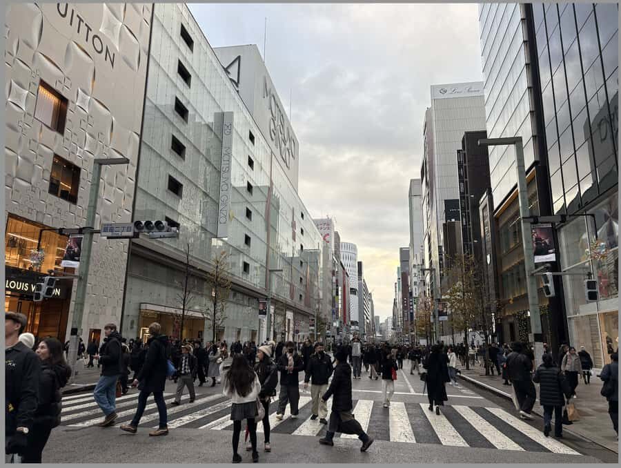 Tokyo: Imperial Palace, Edo Castle Ruins & Samurai Secrets - An In-Depth Look at the Tour Experience