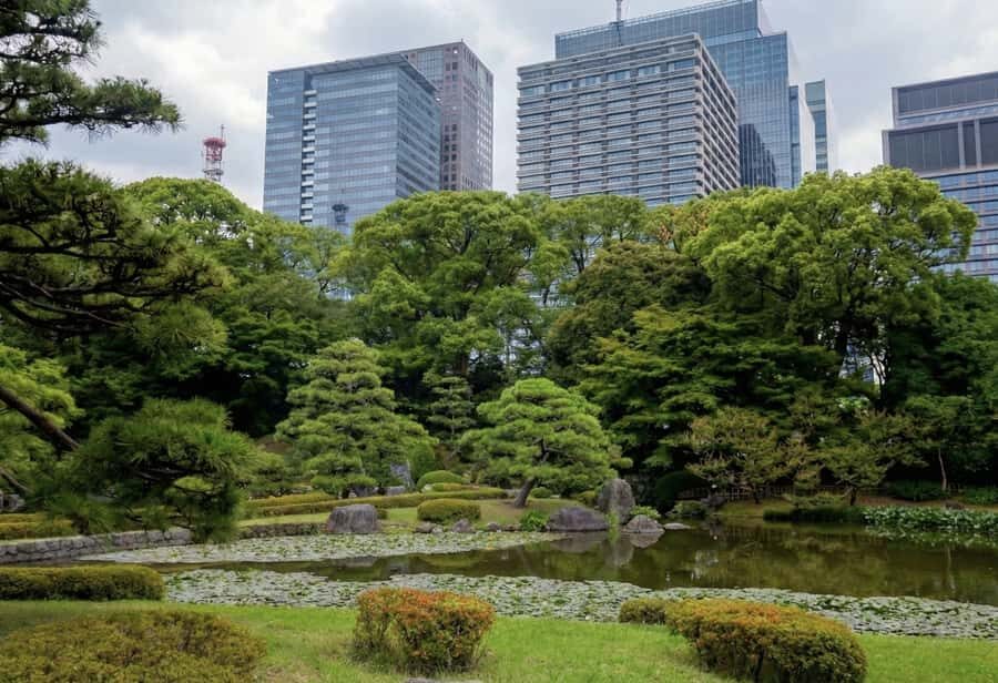 Tokyo: Imperial Palace, Edo Castle Ruins & Samurai Secrets - What Makes This Tour Stand Out?