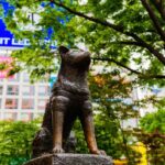 Tokyo in a Day: Meiji Shrine, Shibuya, and Shinjuku - The Sum Up