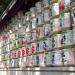 Tokyo in a Day Walking and Metro Tour with Licensed Guide - The Quality of the Guides and the Experience