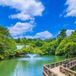 Tokyo: Inokashira Park and Zoo Guided Walking Tour - A Deep Dive into the Experience
