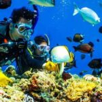 Tokyo: Izu Peninsula Fun Diving and Sightseeing Tour - Detailed Breakdown of the Itinerary