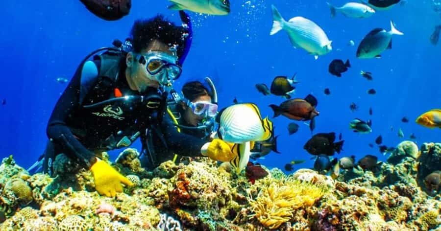 Tokyo: Izu Peninsula Fun Diving and Sightseeing Tour - Detailed Breakdown of the Itinerary