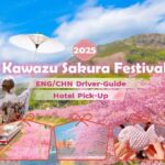 Tokyo: Izu Scenic Train, Kawazu Cherry Blossom & HotelPickup - Practical Details and Insights