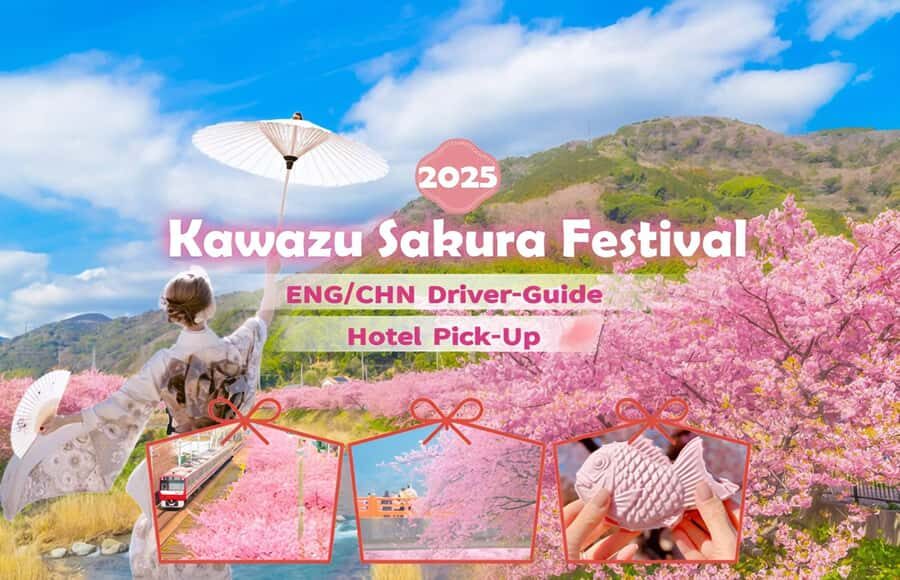 Tokyo: Izu Scenic Train, Kawazu Cherry Blossom & HotelPickup - Practical Details and Insights