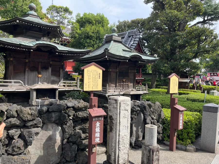 Tokyo: Japanese Language Lesson and City Walking Tour - What to Expect from the Tour