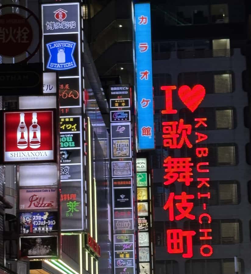 Tokyo: Kabukicho Neon Lights Guided Walking Tour - What’s Included and What to Expect