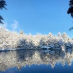 Tokyo: Karuizawa Scenic Highlights & Outlet Shopping Tour - Practical Details: What to Expect on the Tour