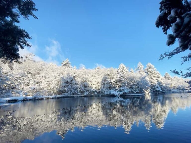 Tokyo: Karuizawa Scenic Highlights & Outlet Shopping Tour - Practical Details: What to Expect on the Tour