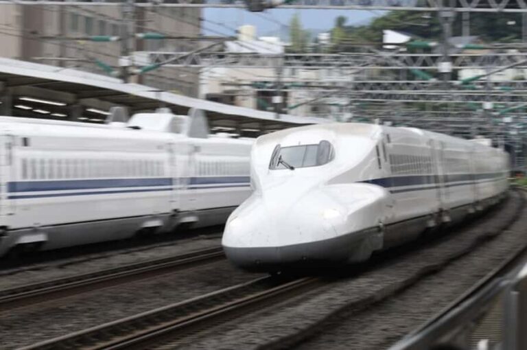 Tokyo: Kyoto Day Trip by Bullet Train with Licensed Guide - Detailed Breakdown of the Itinerary