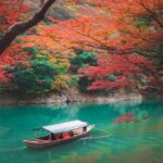 Tokyo: Kyoto Private Customized Tour with Guide & Transfer - What to Expect from the Tour