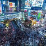 Tokyo: Luxury Tokyo Private City Tour In Luxury Land Cruiser - How the Tour Works in Detail